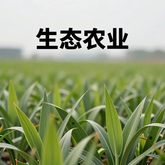 生态农业